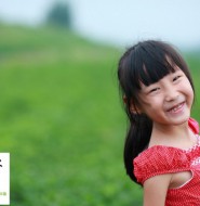 高清拍摄:田野上的小女孩【11P】