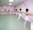 培训班里面的小舞者!果然气质非凡!【8P】