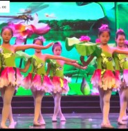 出售视频:真实拍摄舞台上的小loli,还真是北方有佳人啊!