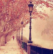 八妹柔术强烈推荐一款无广告,无风险拦截的浏览器!