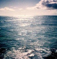 在线播放:这才是真正的萝莉黑丝连裤袜,小模特果然是最前沿的!经典也只有回忆中品味了!